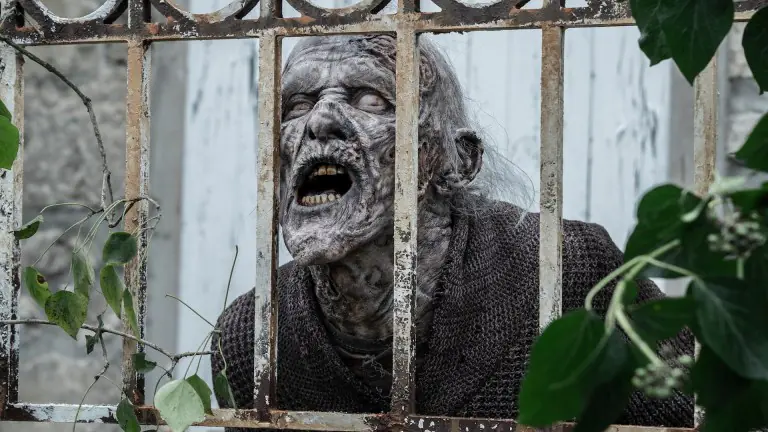 The Walking Dead Daryl Dixon SEASON 3